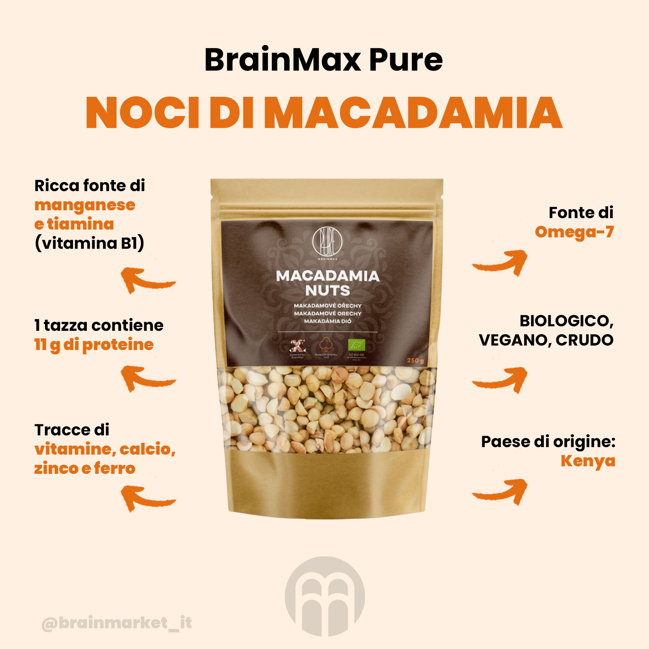 BrainMax Noci di macadamia pure - BrainMarket.cz