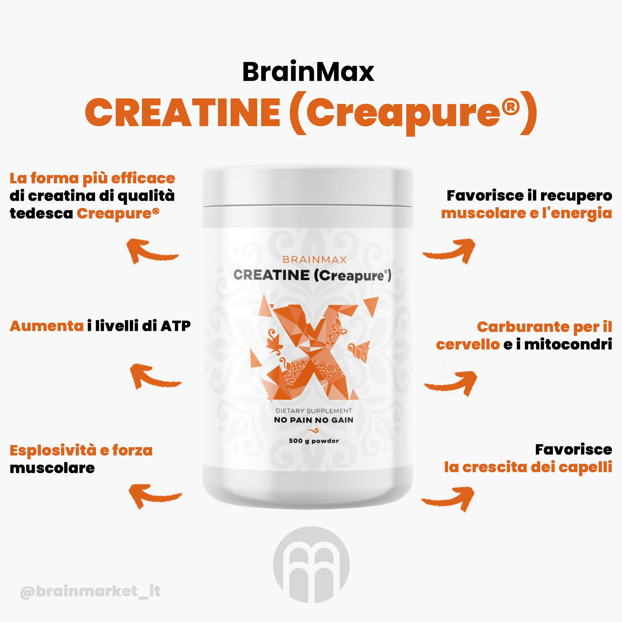 AAAbrainmax creapure creatina blog-infografica brainmarket CZ