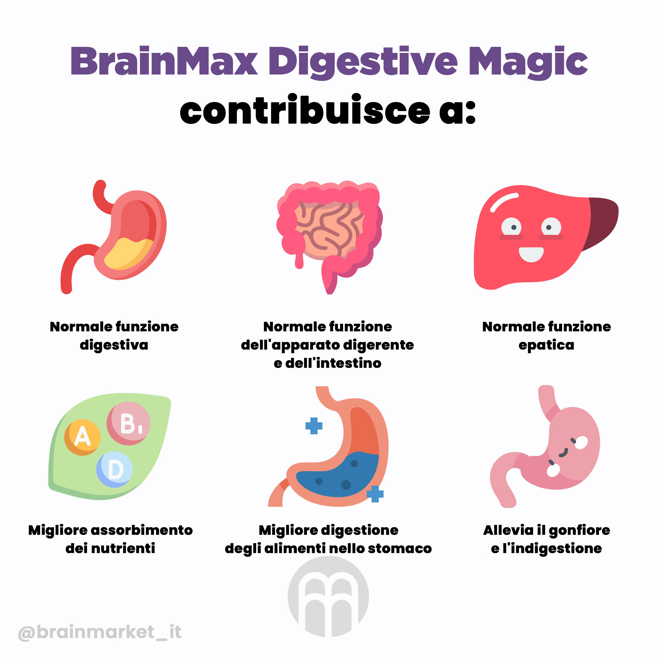 Magia digestiva BrainMax